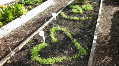 Lottery support for Florence Court