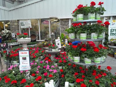 Garden Centres Open with Restrictions