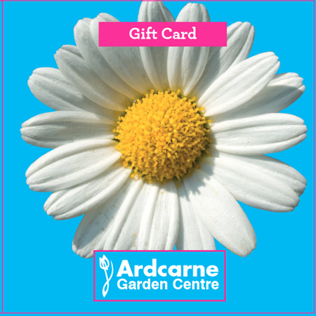 €20 Gift Card for Ardcarne Garden Centres and Café