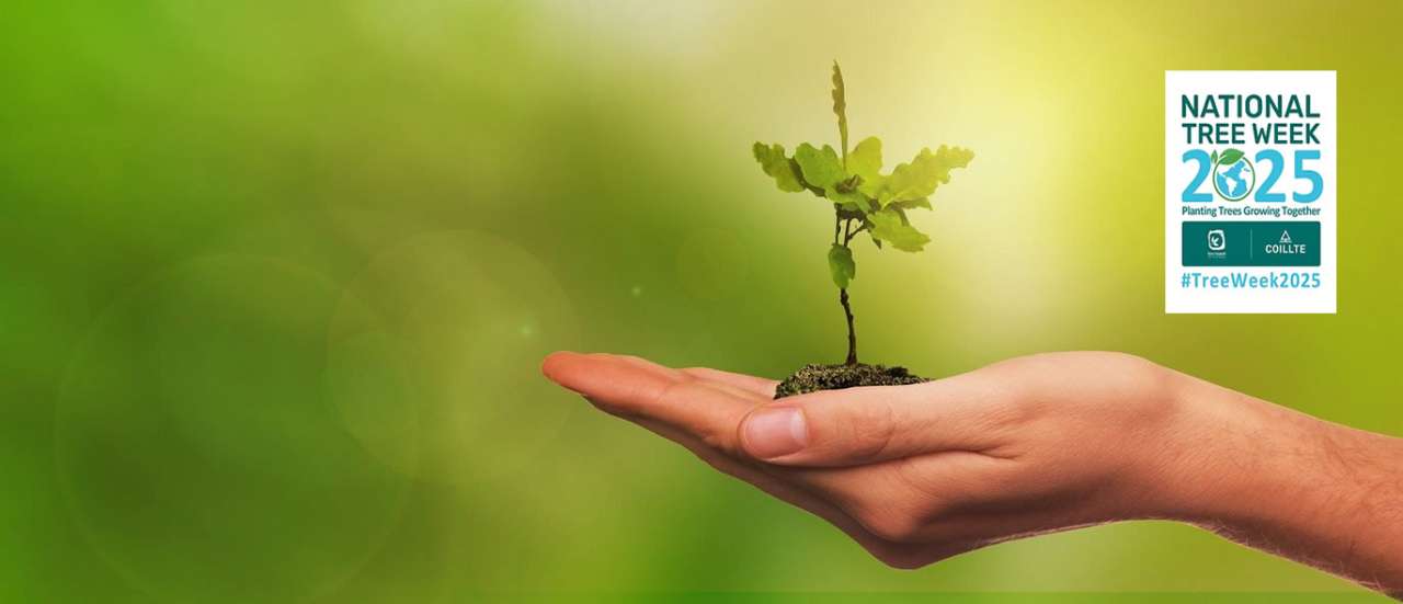 National Tree Week 2025