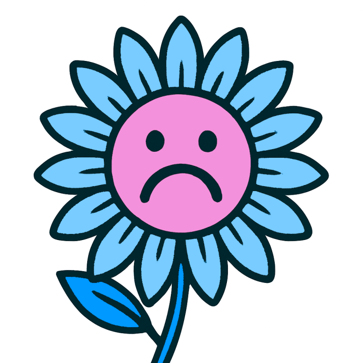 The product or page you are looking for is temporarily unavailable, please try another search.