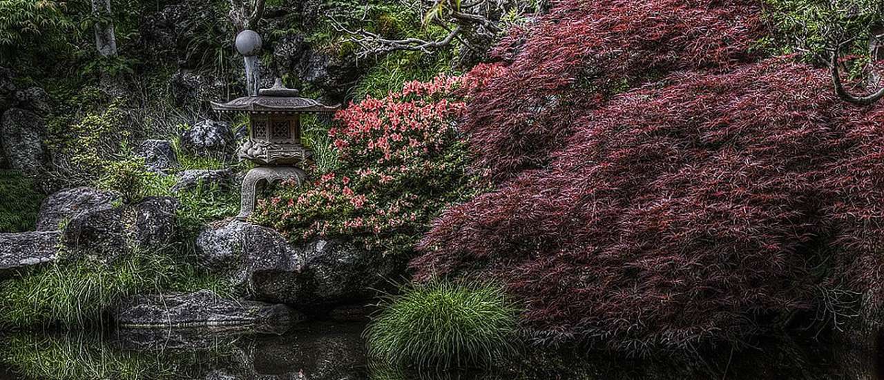 Here an Acer features in the foreground of a Japanese Garden in Tokiwakan-inn, Komoro, Nagano - Photo by Yuya Sekiguchi (CC BY-SA 2.0)