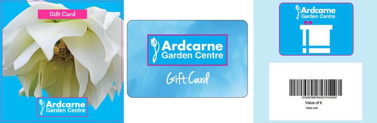 Gift Card Selection