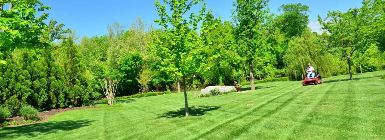 Summer mowing with a 'ride-on' - Image by Bryan Clayton from Pixabay