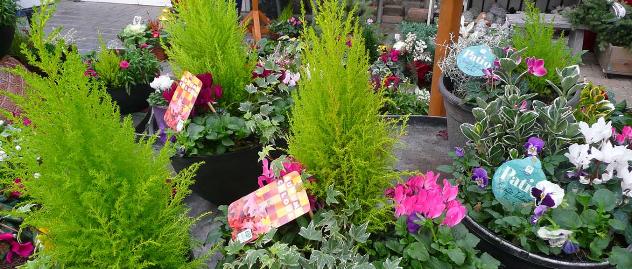 Pre-made container displays at Ardcarne Garden Centre