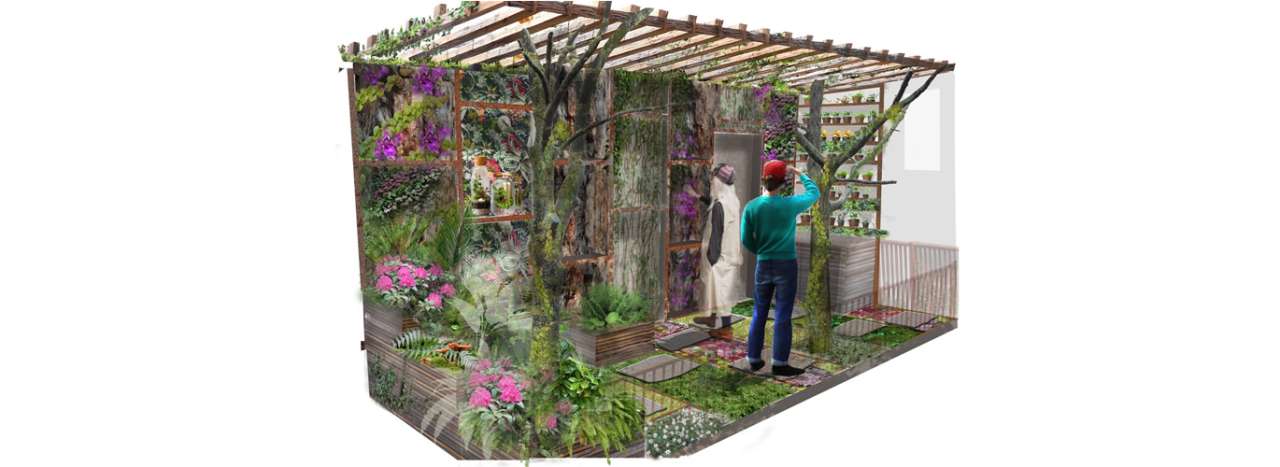 The Plant Collector's Balcony by Tom Bradford