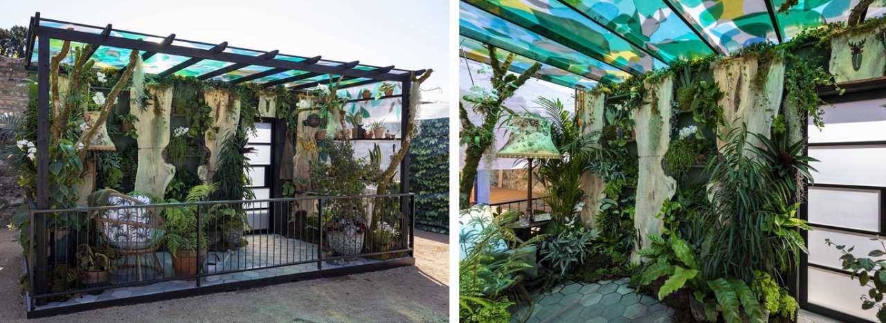 The Plant Collector’s Balcony at Bloom 2026