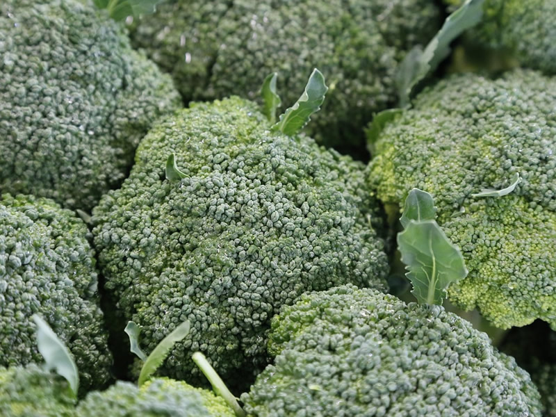 Broccoli