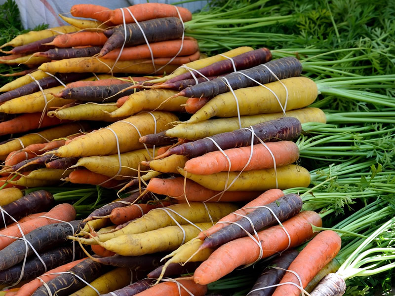 Carrots