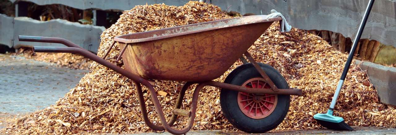 Tidying up the garden - Image by Manfred Richter from Pixabay