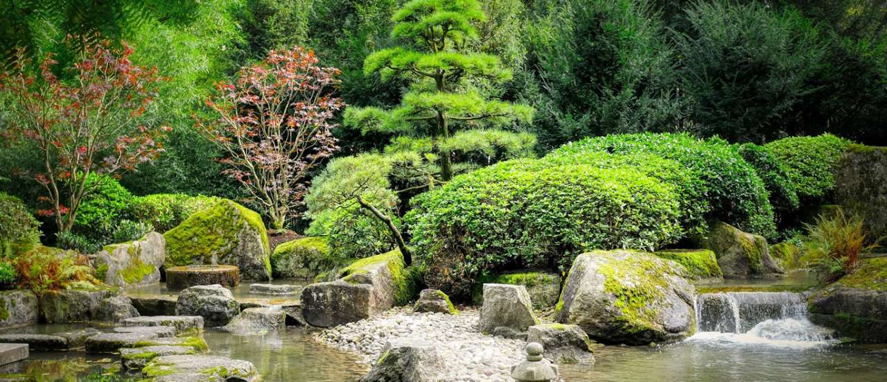 Japanese-style garden - Image by Albrecht Fietz from Pixabay