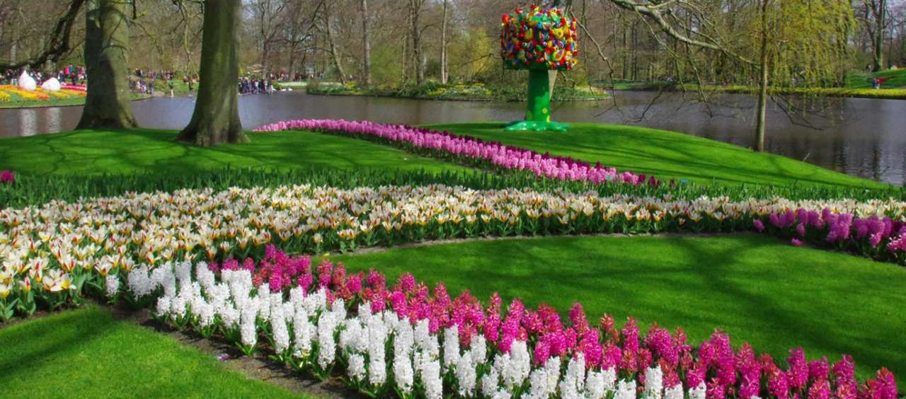 Bulb displays in Keukenhoff, Holland - Image by rexton from Pixabay