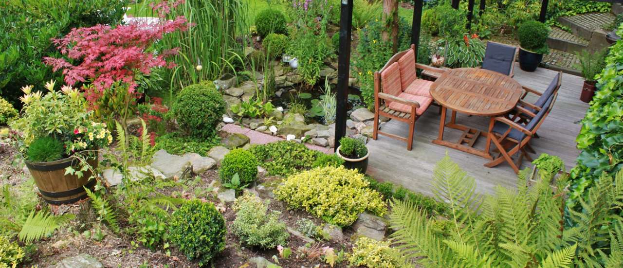 Low Maintanance Garden - Image courtesy of rawpixels.com