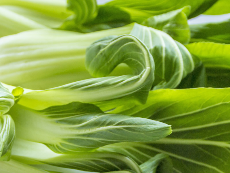 Pak Choi