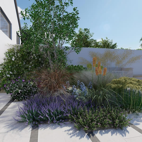 Plant Lovers Dream Garden - Border Image
