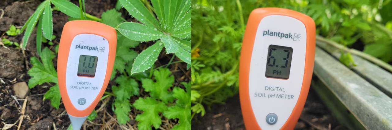 A pH meter showing different results in different parts of the garden - Photo by Richard (AGC) 27/07/2026