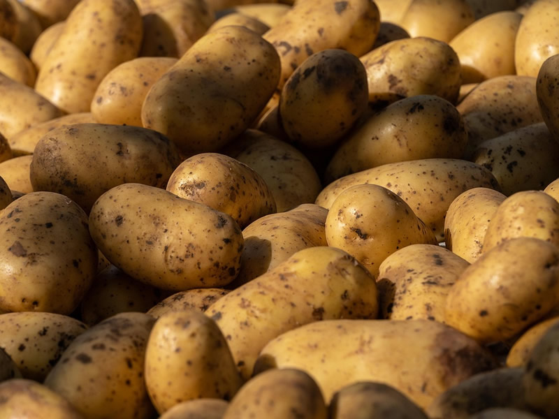 Potatoes