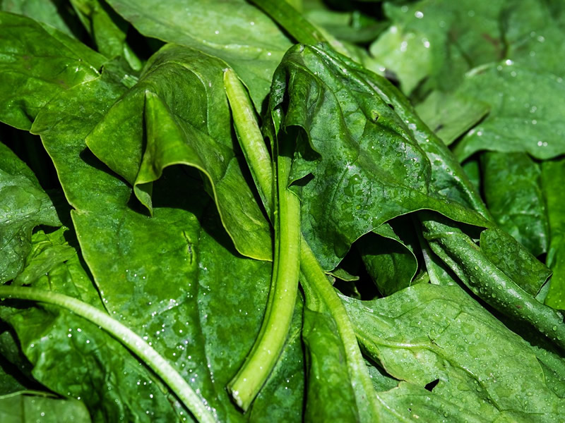 Spinach