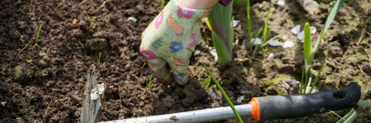 Clearing weeds in spring - Image by Maria from Pixabay