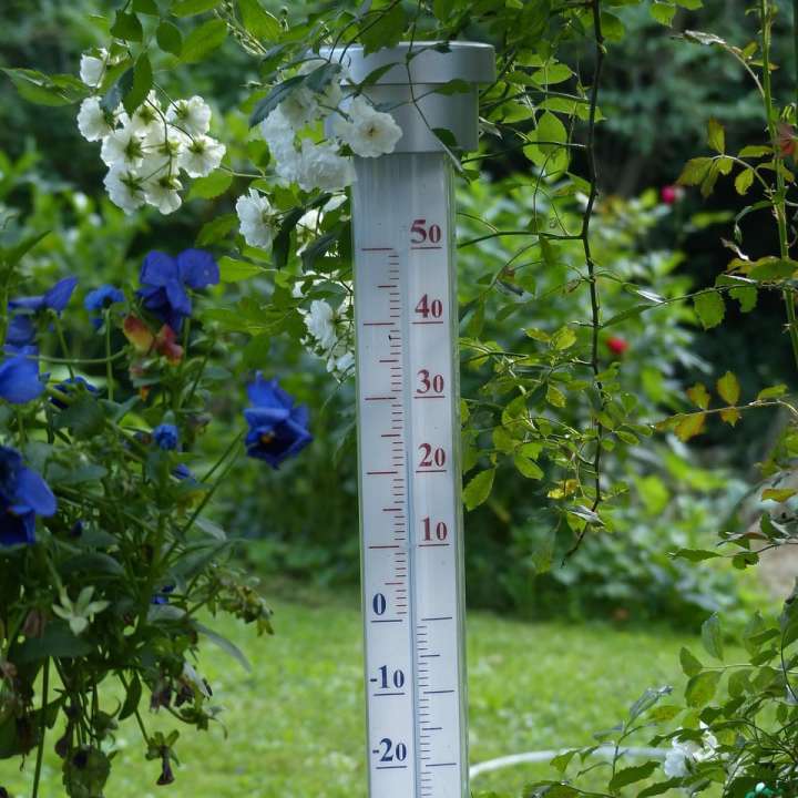 Soil Temperature Thermometer - Image by Hans from Pixabay