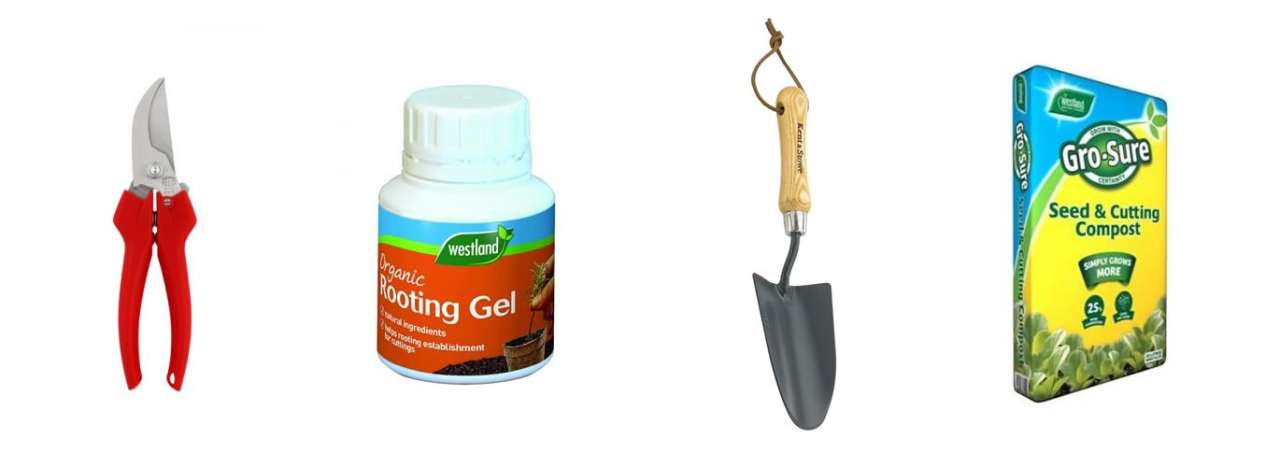 Secateurs, rooting gel, a hand trowel and some seed & cutting compost 