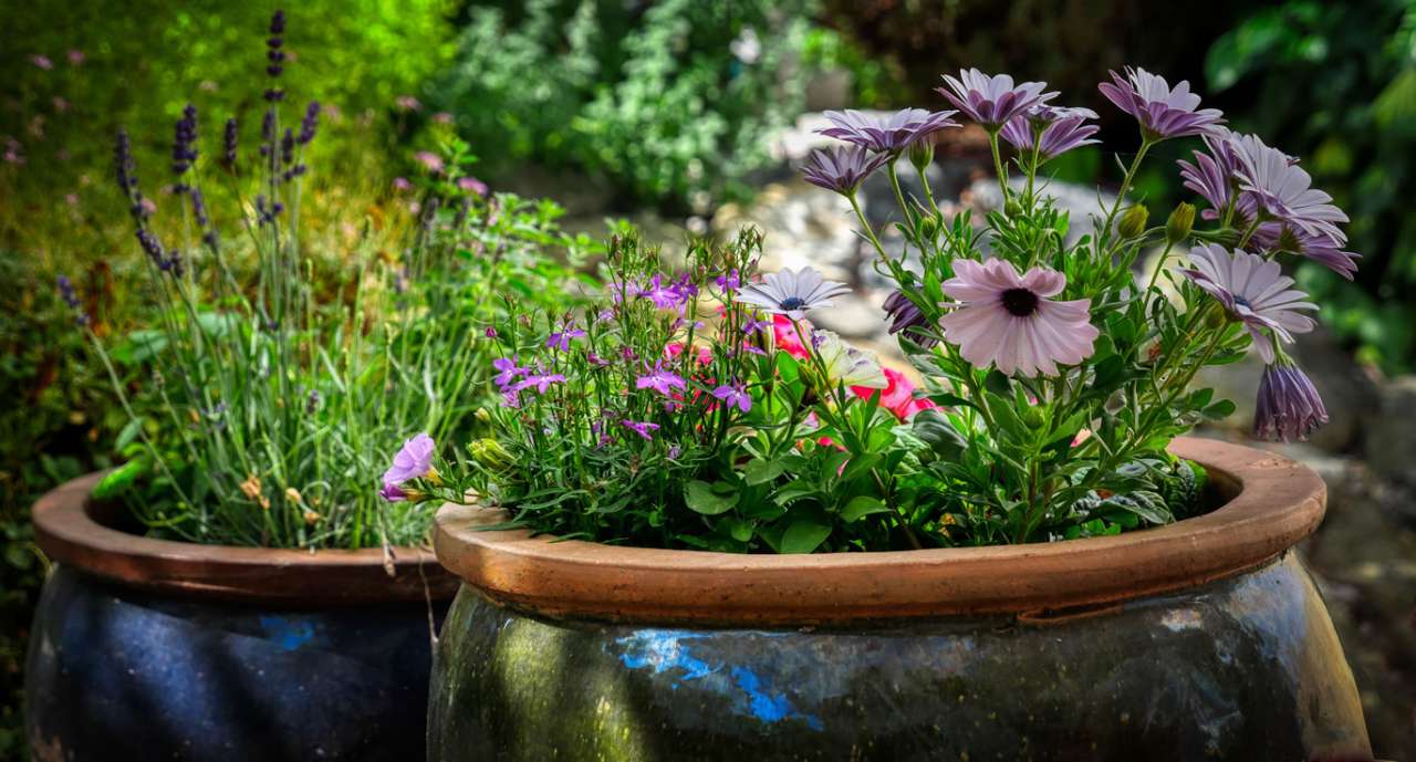 Planted up Urns - Image by Albrecht Fietz from Pixabay