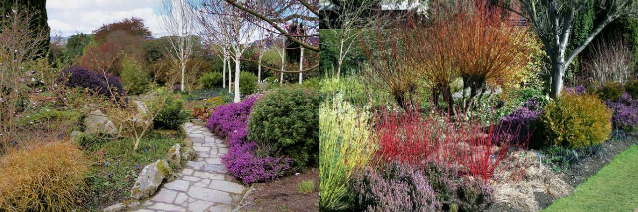 2 winter gardens at Bodnant in Wales and Cambridge University - Photos by David Dixon and Stuart Logan respectively (CC BY-SA 2.0)