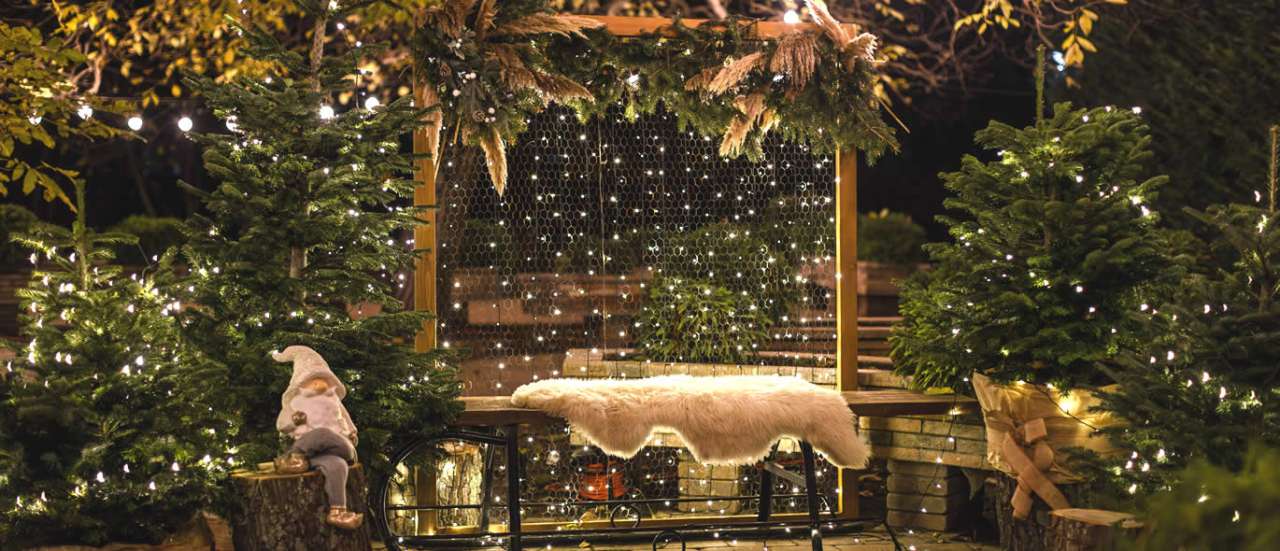 Christmas patio with natural trees and lights - Photo by Radu Daniel ( MRD ) courtesy of pexels