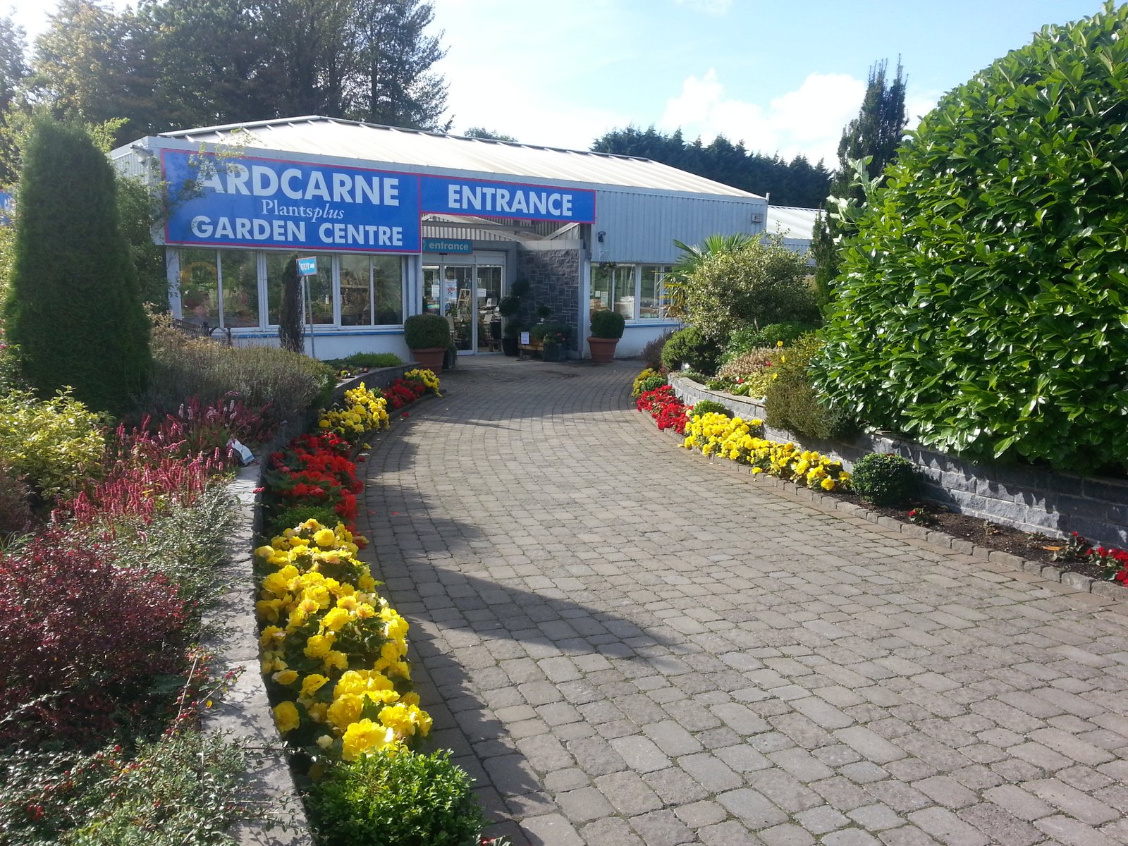 garden centre in Roscommon Town