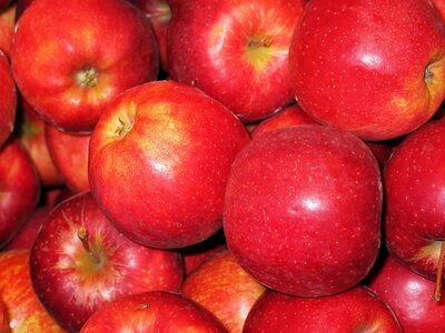 Apples