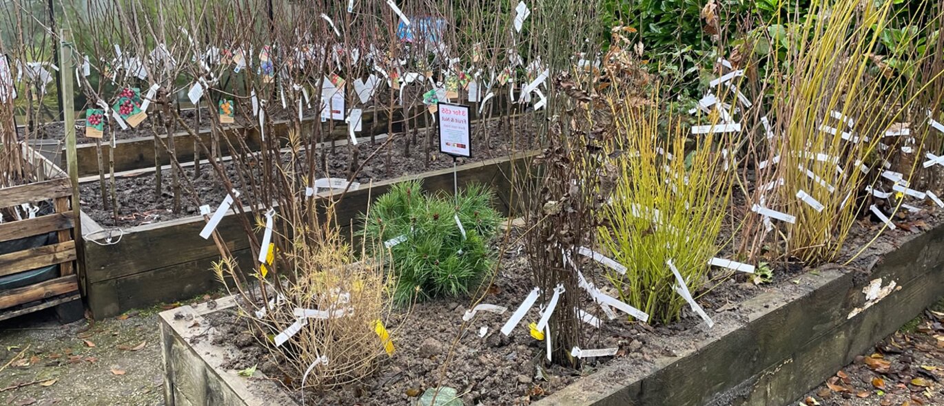 Bare Root Prices & Pre-Order