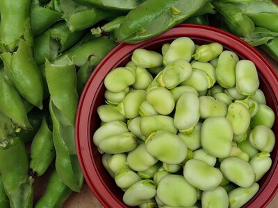Broad Beans