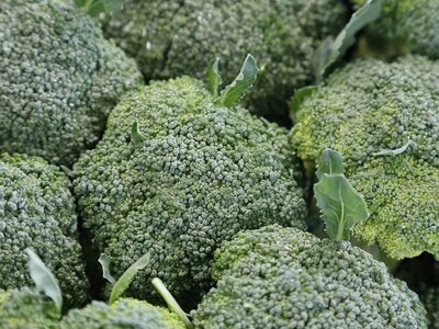Broccoli (Calabrese)