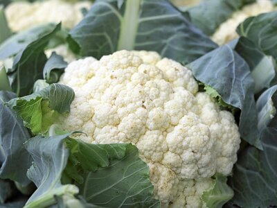 Cauliflower