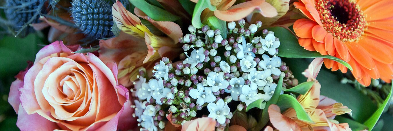 Cut Flower Event