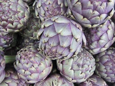 Globe Artichokes