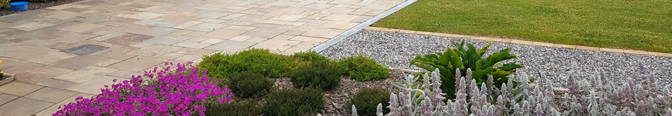 Landscaping & Design Service