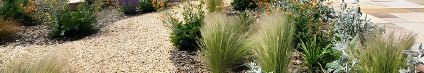 Landscaping & Design Service