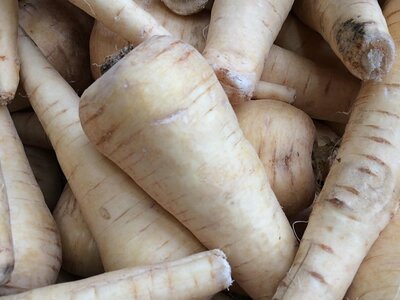 Parsnips