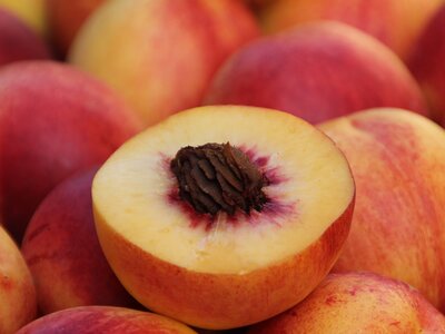 Peaches, Apricots & Nectarines