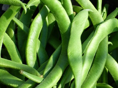Runner Beans