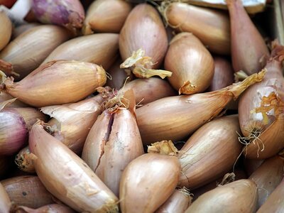 Shallots