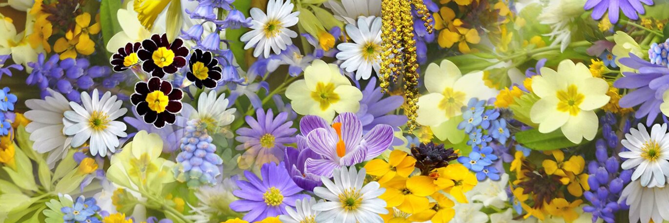 Welcome in the New Season