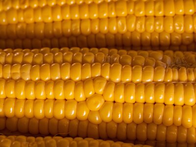 Sweetcorn