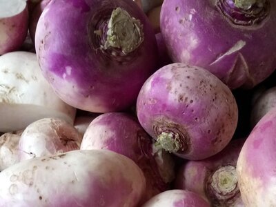 Turnips