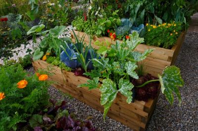10 ways to get started in organic gardening
