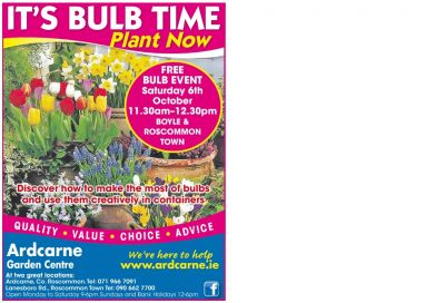 Bulb Event