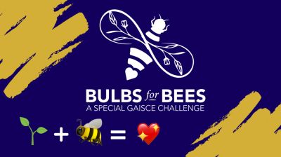 Bulbs For Bees