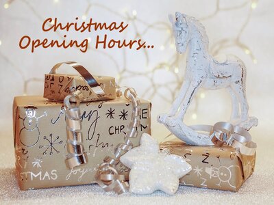 Christmas Holiday Opening Times 2022