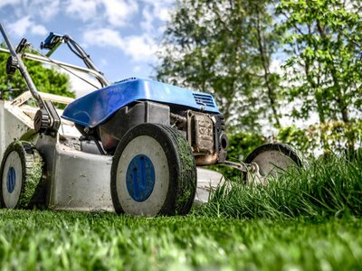 Mowing the lawn - Image by Rudy and Peter Skitterians from Pixabay